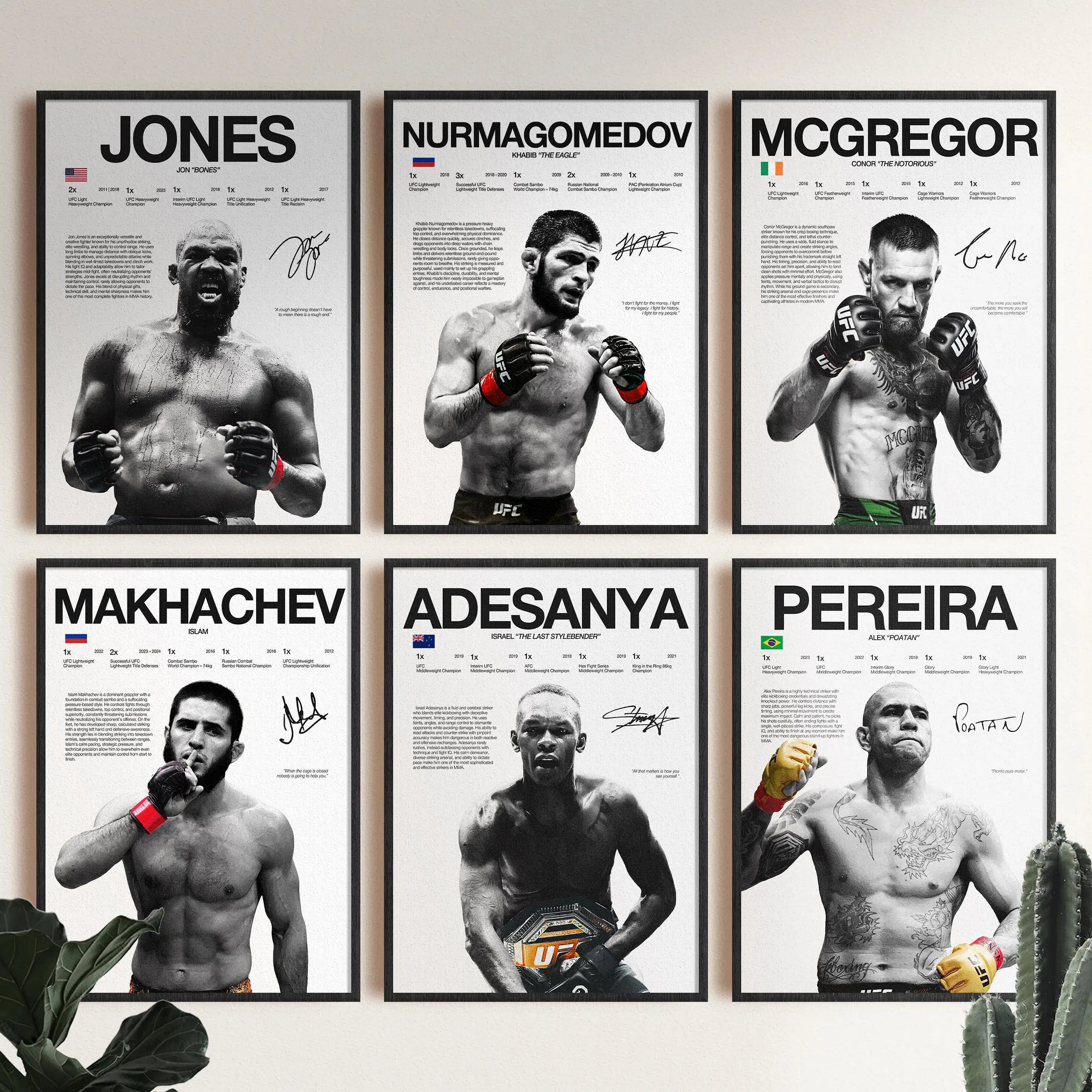 UFC FIghetrs Print Posters